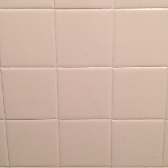 Meet your Posher, Taylor - Picture 1 of 1